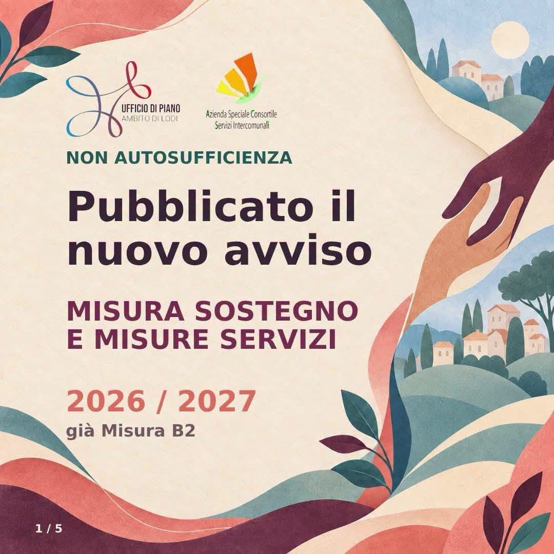 Avviso pubblico per la non autosufficienza (ex Misura B2)